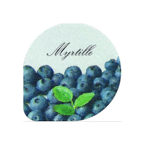 Yaourt brebis / lit de myrtille