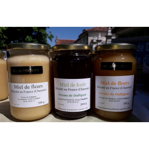 Miel de fleurs de printemps