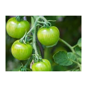 Confiture de tomates vertes