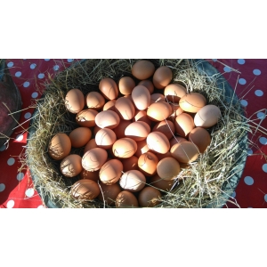 Promo 18 oeufs de poulettes