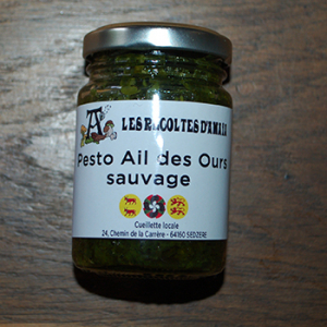 Pesto d'ail des ours sauvage