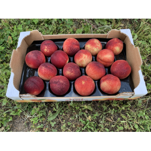 Pêches blanches plateau 14/18 fruits