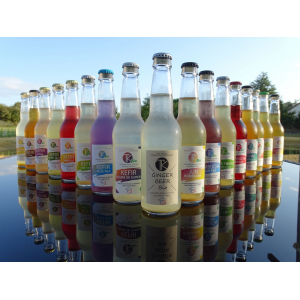 Pack découverte kombucha