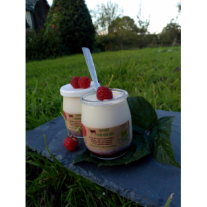 Le yaourt sur lit de framboise 125g