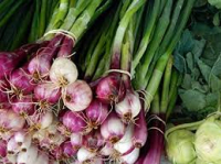 Oignons rouges (botte de 5)