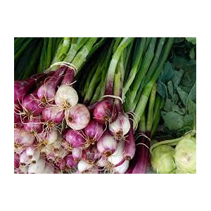 Oignons rouges (botte de 5)