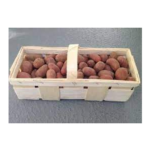 Pomme de terre nouvelle grenaille jeanette