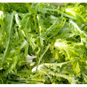 Cressonette du maroc poche