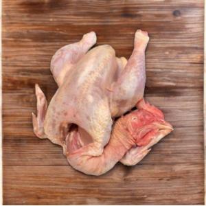 Poulet fermier plein air