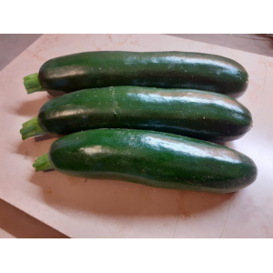 Courgette bio