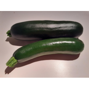 Courgette bio 25/30 cm