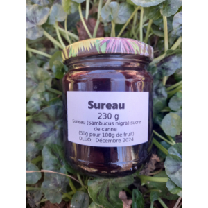 Fruité de sureau