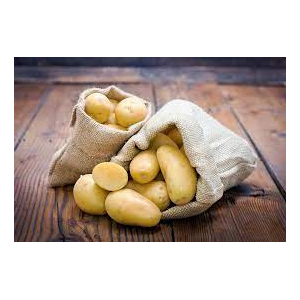 Pomme de terre nouvelle charlotte