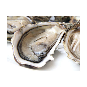 Huîtres n°2 et n°1