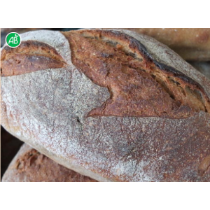 Pain 5 céréales 500g