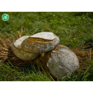 Pain auvergnat 500g