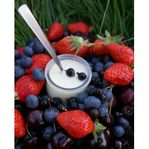 Le panier de 4 yaourts fruits rouges
