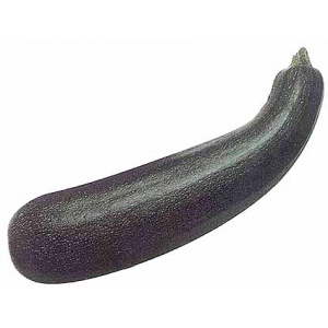 Grosse courgette à soupes
