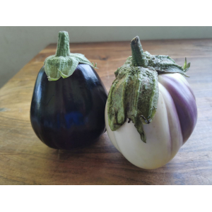 Aubergines