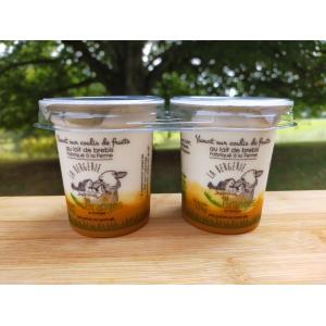 Yaourt sur lit d'abricot