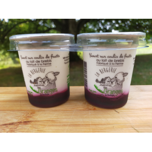 Yaourt sur lit de cassis