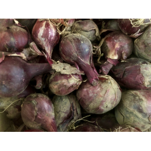 Oignon demi sec rouge