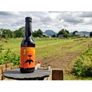 Bière safran'ale bio 33 cl