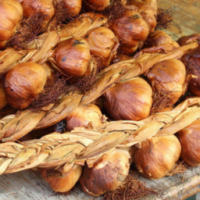 Ail fumé 500g tresse