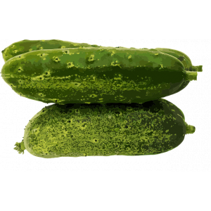 Concombre menthe citronnée