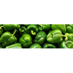 Poivron vert