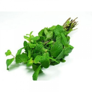 Menthe fraiche en bouquet