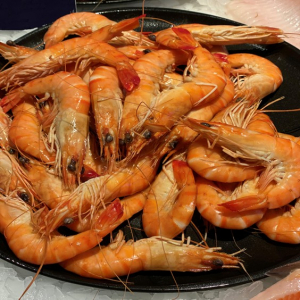 Crevettes roses cuites bio