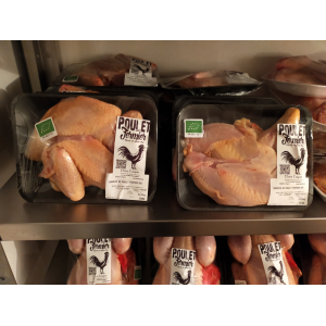 Suprême de poulet bio