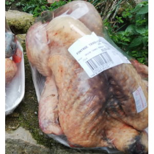 Pintade fermière du frety c