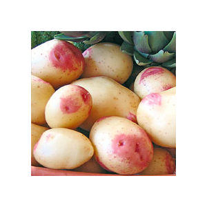 Pommes de terre carolus