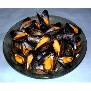 Moules de cordes  fraîches de pays