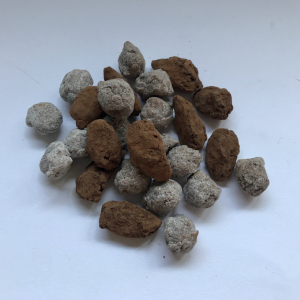 Pépites chocolatées