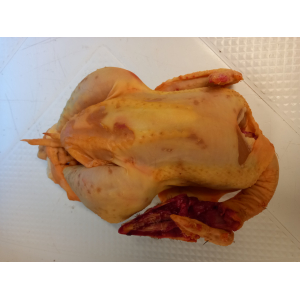 Poulet fermier vidé prêt à cuire (1,5à1,6kg)