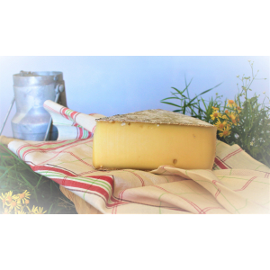 Tomme grise de montagne