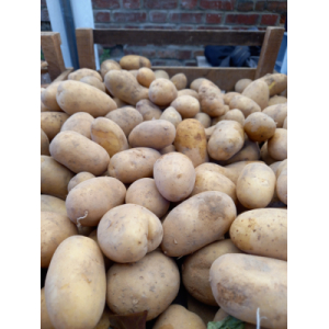 Pomme de terre de garde