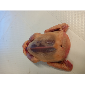 Pigeons vidé prêt  à cuire (370g à 390g).a rô