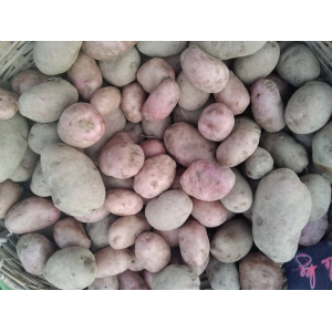 Pomme de terre désirée