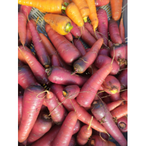 Carotte rouge sang en vrac