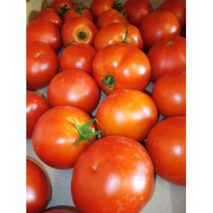 Tomate ronde
