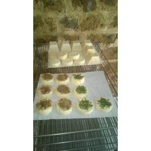 Palet chèvre-bruschetta