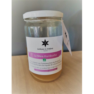 Mère kombucha (scoby)