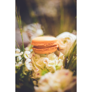 Macaron praline amande noisette du piémont x8