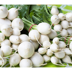 Navet 'boule de neige'