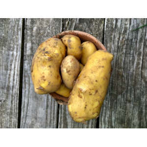 Pommes de terre chair ferme