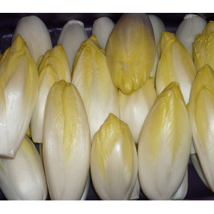 Endives